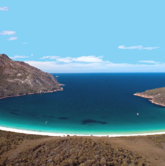 SEO in Australia