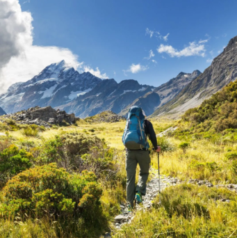 SEO in New Zealand
