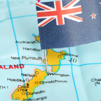 SEO in New Zealand
