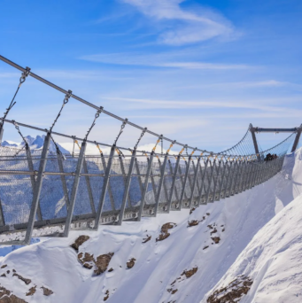 SEO in Switzerland